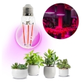 LED Žarnica za rast rastlin VITABLOOM E27/8W/230V 1200K - Brilagi