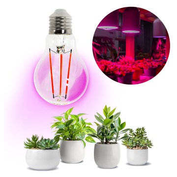 LED Žarnica za rast rastlin VITABLOOM E27/8W/230V 1200K - Brilagi