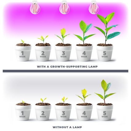 LED Žarnica za rast rastlin VITABLOOM E27/8W/230V 1200K - Brilagi