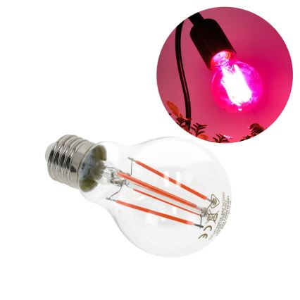 LED Žarnica za rast rastlin VITABLOOM E27/8W/230V 1200K - Brilagi