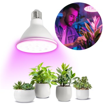 LED Žarnica za rast rastlin VITABLOOM E27/9W/230V 1200K bela - Brilagi