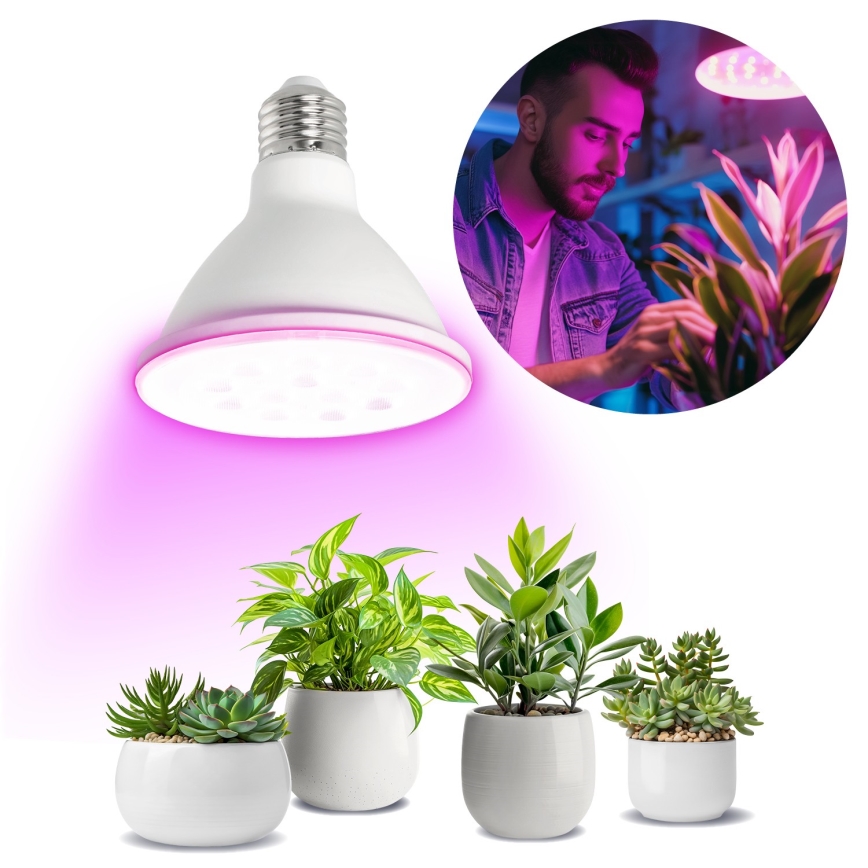 LED Žarnica za rast rastlin VITABLOOM E27/9W/230V 1200K bela - Brilagi