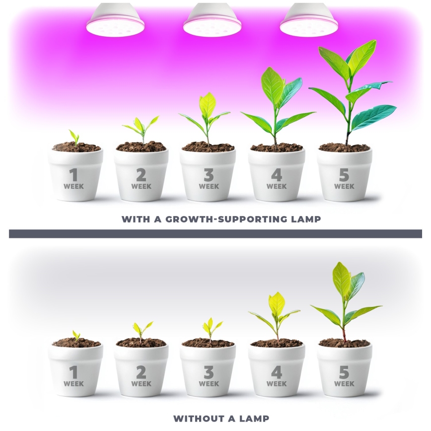 LED Žarnica za rast rastlin VITABLOOM E27/9W/230V 1200K bela - Brilagi