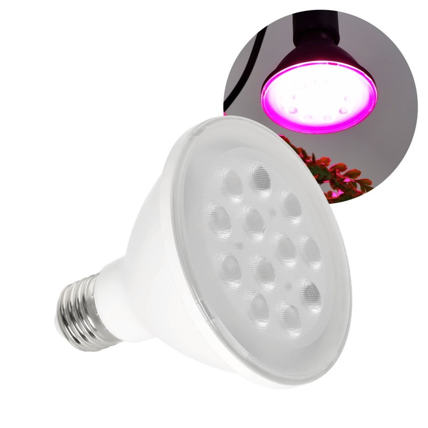 LED Žarnica za rast rastlin VITABLOOM E27/9W/230V 1200K bela - Brilagi