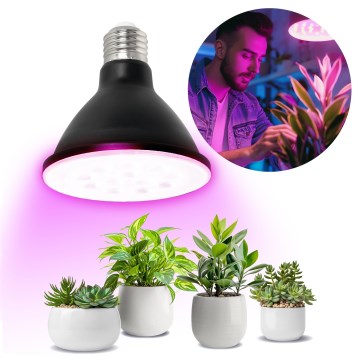 LED Žarnica za rast rastlin VITABLOOM E27/9W/230V 1200K črna - Brilagi