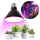LED Žarnica za rast rastlin VITABLOOM E27/9W/230V 1200K črna - Brilagi