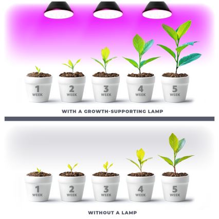 LED Žarnica za rast rastlin VITABLOOM E27/9W/230V 1200K črna - Brilagi