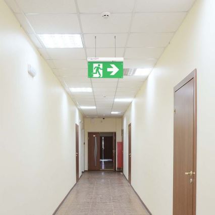 LED Zasilna luč EMERGENCY EXIT LED/2,5W/230V 4v1 6000K