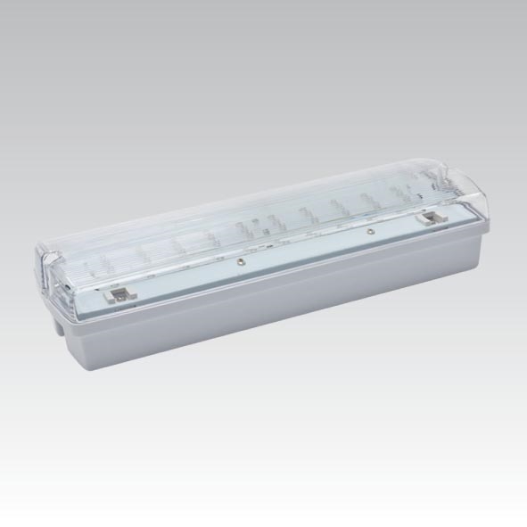 LED Zasilna svetilka CARLA LED/5,51W/230V začasno 1h/350 mAh IP65