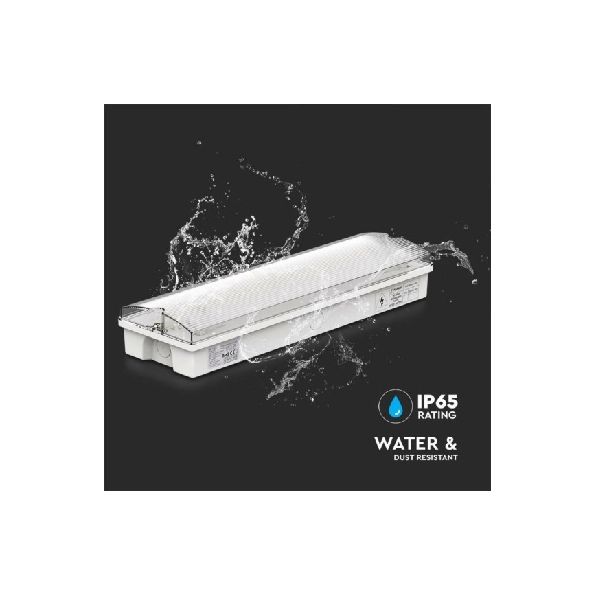 LED Zasilna svetilka EMERGENCY EXIT LED/3W/230V 6400K IP65