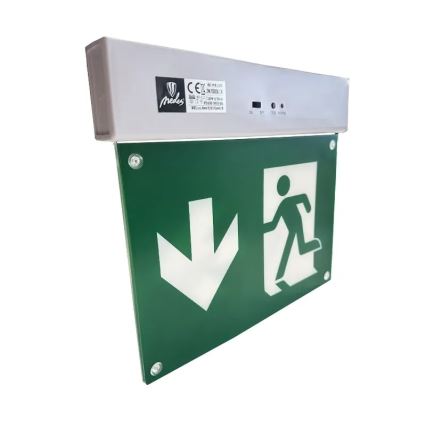 LED Zasilna svetilka LED/2W/230V 6000K 300 mAh