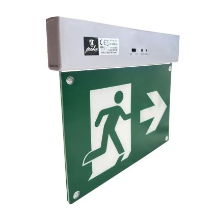LED Zasilna svetilka LED/2W/230V 6000K 300 mAh