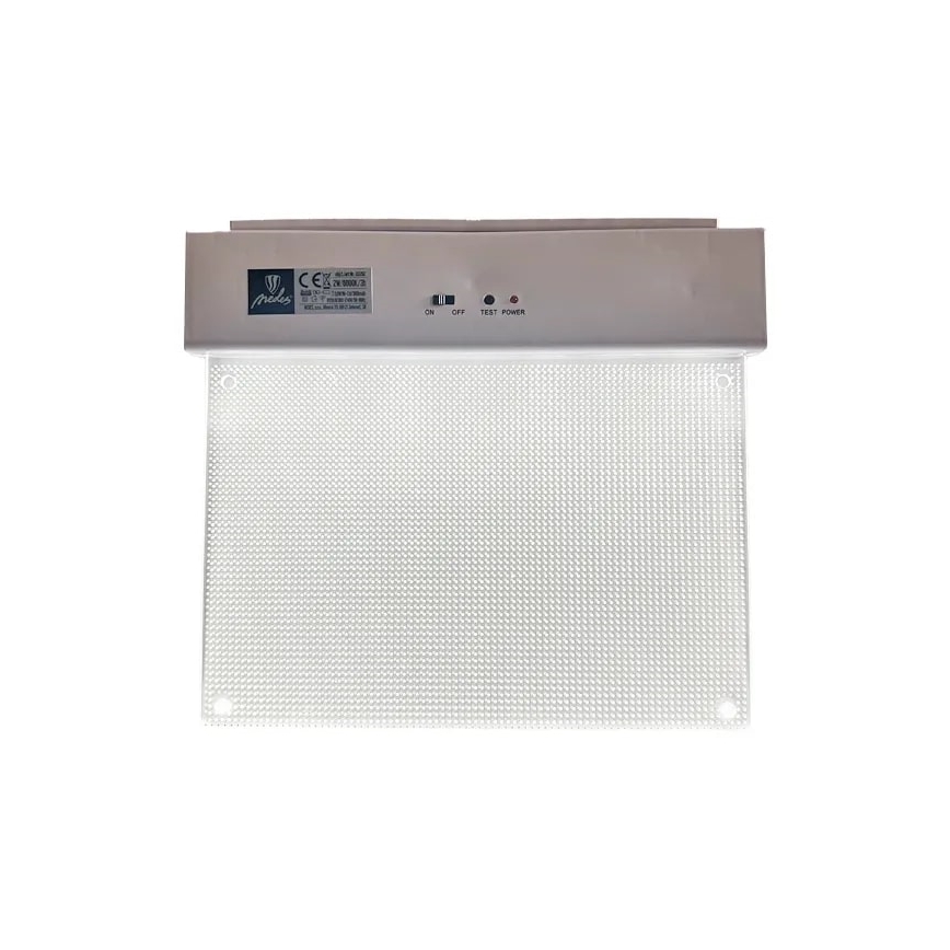 LED Zasilna svetilka LED/2W/230V 6000K 300 mAh