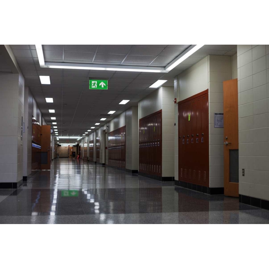 LED Zasilna svetilka LED/4,5W/230V 6500K