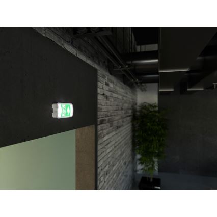 LED Zasilna svetilka VIRGO EVO LED/1W/230V 6000K IP65