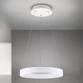LED zatemljiv viseči lestenec na kablu KOLK LED/40W/230V 2700/3000/4000K, premer 40 cm, bela