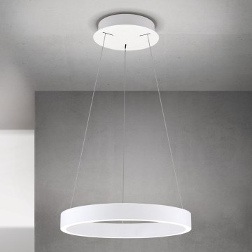 LED zatemljiv viseči lestenec na kablu KOLK LED/40W/230V 2700/3000/4000K, premer 40 cm, bela