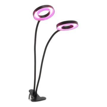 LED Zatemnitvena fleksibilna namizna svetilka s sponko za gojenje rastlin VITARO 2xLED/4W/230V črna