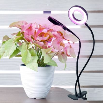LED Zatemnitvena fleksibilna namizna svetilka s sponko za gojenje rastlin VITARO 2xLED/4W/230V črna