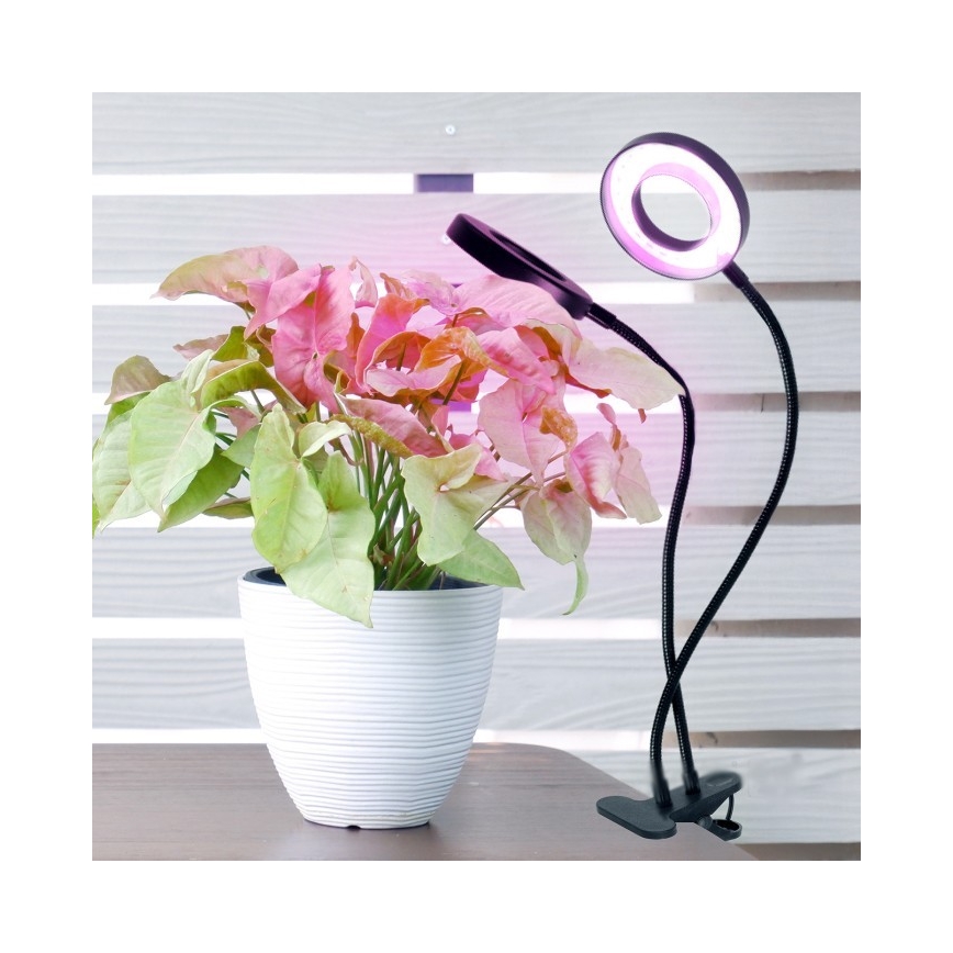 LED Zatemnitvena fleksibilna namizna svetilka s sponko za gojenje rastlin VITARO 2xLED/4W/230V črna