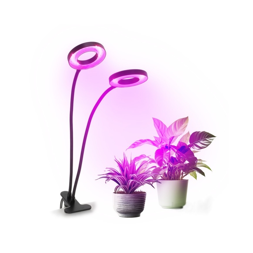 LED Zatemnitvena fleksibilna namizna svetilka s sponko za gojenje rastlin VITARO 2xLED/4W/230V črna