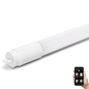 LED Zatemnitvena fluorescentna cev MESH Pametni T8/10W/230V 6500K 60 cm - Aigostar