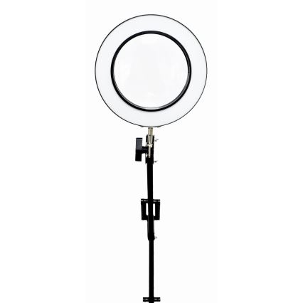 LED Zatemnitvena namizna svetilka s povečevalnim steklom LED/10W/230V 3000/4500/6000K