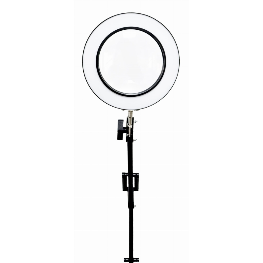 LED Zatemnitvena namizna svetilka s povečevalnim steklom LED/10W/230V 3000/4500/6000K
