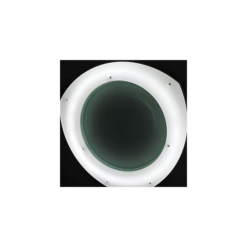 LED Zatemnitvena namizna svetilka z lupo in sponko LED/8W/12/230V