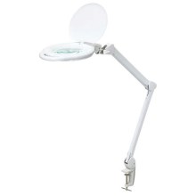LED Zatemnitvena namizna svetilka z lupo LED/10W/230V bela