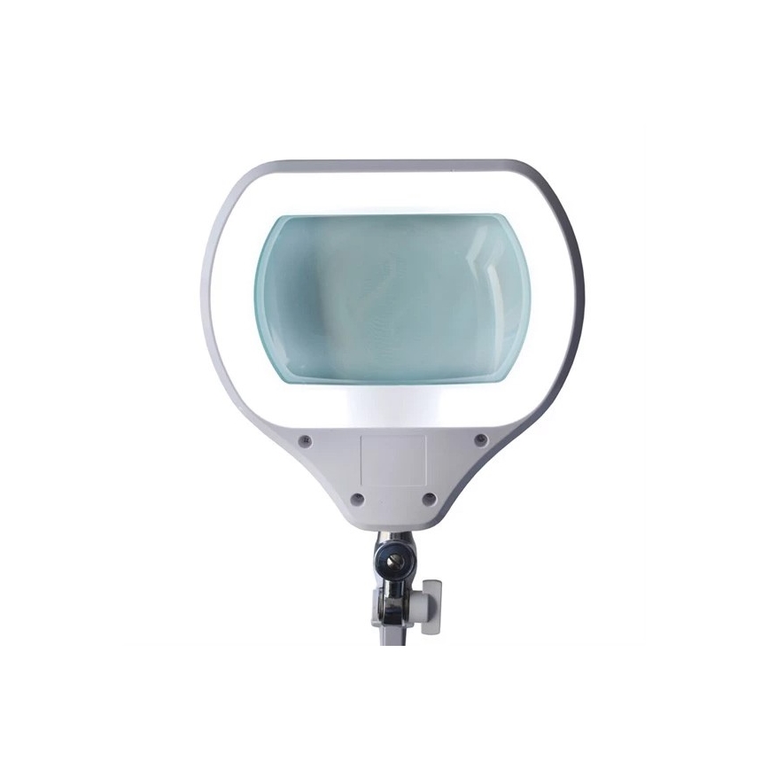 LED Zatemnitvena namizna svetilka z lupo LED/12W/230V bela