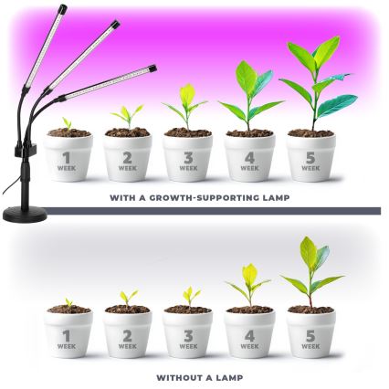 LED Zatemnitvena fleksibilna namizna svetilka za gojenje rastlin VITARO 3xLED/10W/230V črna