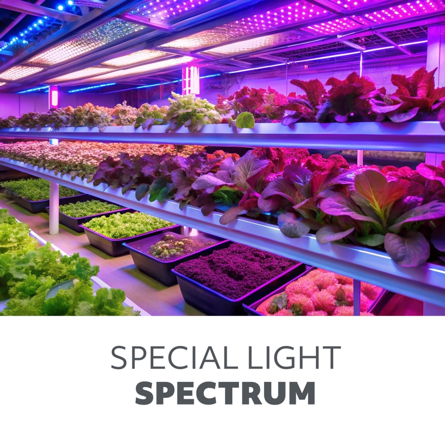 LED Zatemnitven fleksibilna namizna svetilka za gojenje rastlin VITARO 4xLED/10W/230V črna
