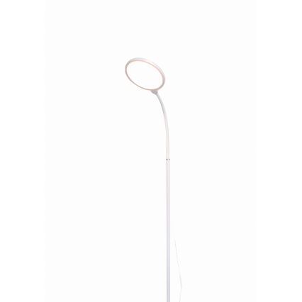 LED Zatemnitvena stoječa svetilka 2v1 LED/10W/230V bela