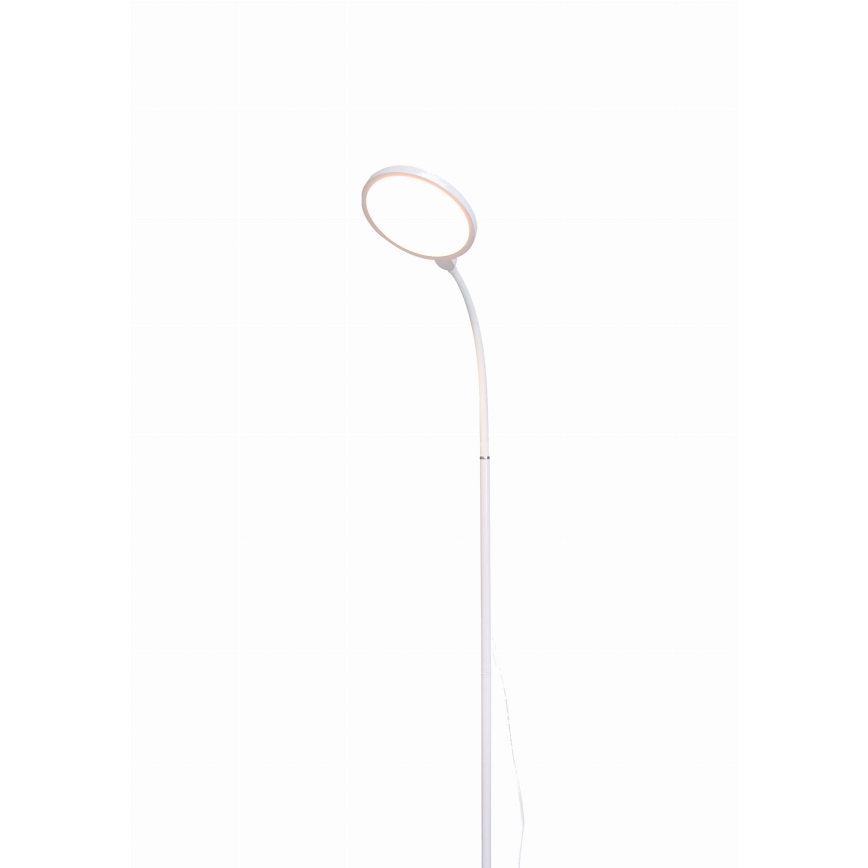 LED Zatemnitvena stoječa svetilka 2v1 LED/10W/230V bela
