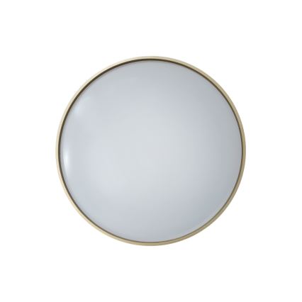 LED Zatemnitvena stropna svetilka DRINA LED/36W/230V 2700-6500K pr. 50 cm + Daljinski upravljalnik