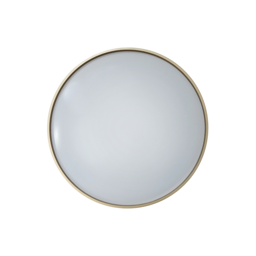 LED Zatemnitvena stropna svetilka DRINA LED/36W/230V 2700-6500K pr. 50 cm + Daljinski upravljalnik