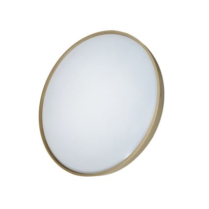 LED Zatemnitvena stropna svetilka DRINA LED/36W/230V 2700-6500K pr. 50 cm + Daljinski upravljalnik