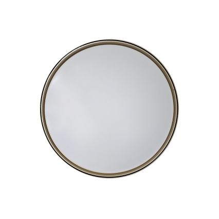 LED Zatemnitvena stropna svetilka EBRO LED/36W/230V 2700-6500K pr. 50 cm + Daljinski upravljalnik