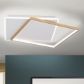 LED Zatemnitvena stropna svetilka EMANUEL LED/50W/230V bela/zlata