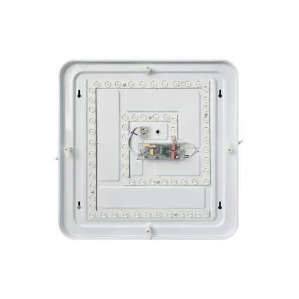 LED Zatemnitvena stropna svetilka FLORA LED/36W/230V 2700-6500K 43x43 cm + Daljinski upravljalnik