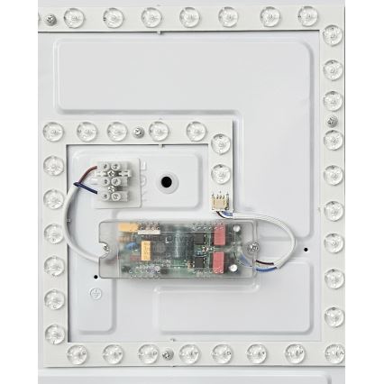 LED Zatemnitvena stropna svetilka FLORA LED/36W/230V 2700-6500K 43x43 cm + Daljinski upravljalnik