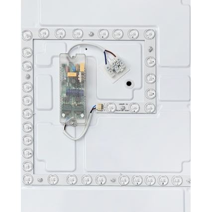 LED Zatemnitvena stropna svetilka FLORA LED/60W/230V 2700-6500K 53x53 cm + Daljinski upravljalnik