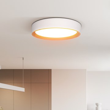LED Zatemnitvena stropna svetilka LARIOS LED/48W/230V 3000-6500K pr. 39 cm bela + Daljinski upravljalnik