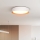 LED Zatemnitvena stropna svetilka LARIOS LED/48W/230V 3000-6500K pr. 39 cm bela + Daljinski upravljalnik