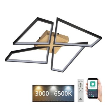 LED Zatemnitvena stropna svetilka LED/115W/230V 3000-6500K rjava/črna + Daljinski upravljalnik