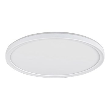 LED Zatemnitvena stropna svetilka LED/18W/230V