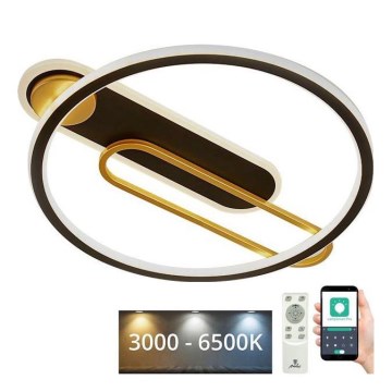 LED Zatemnitvena stropna svetilka LED/60W/230V 3000-6500K črna + Daljinski upravljalnik