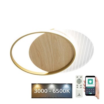 LED Zatemnitvena stropna svetilka LED/60W/230V 3000-6500K + Daljinski upravljalnik