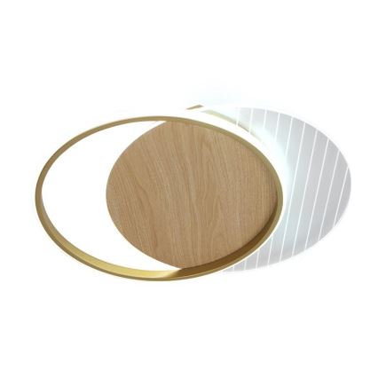 LED Zatemnitvena stropna svetilka LED/60W/230V 3000-6500K + Daljinski upravljalnik